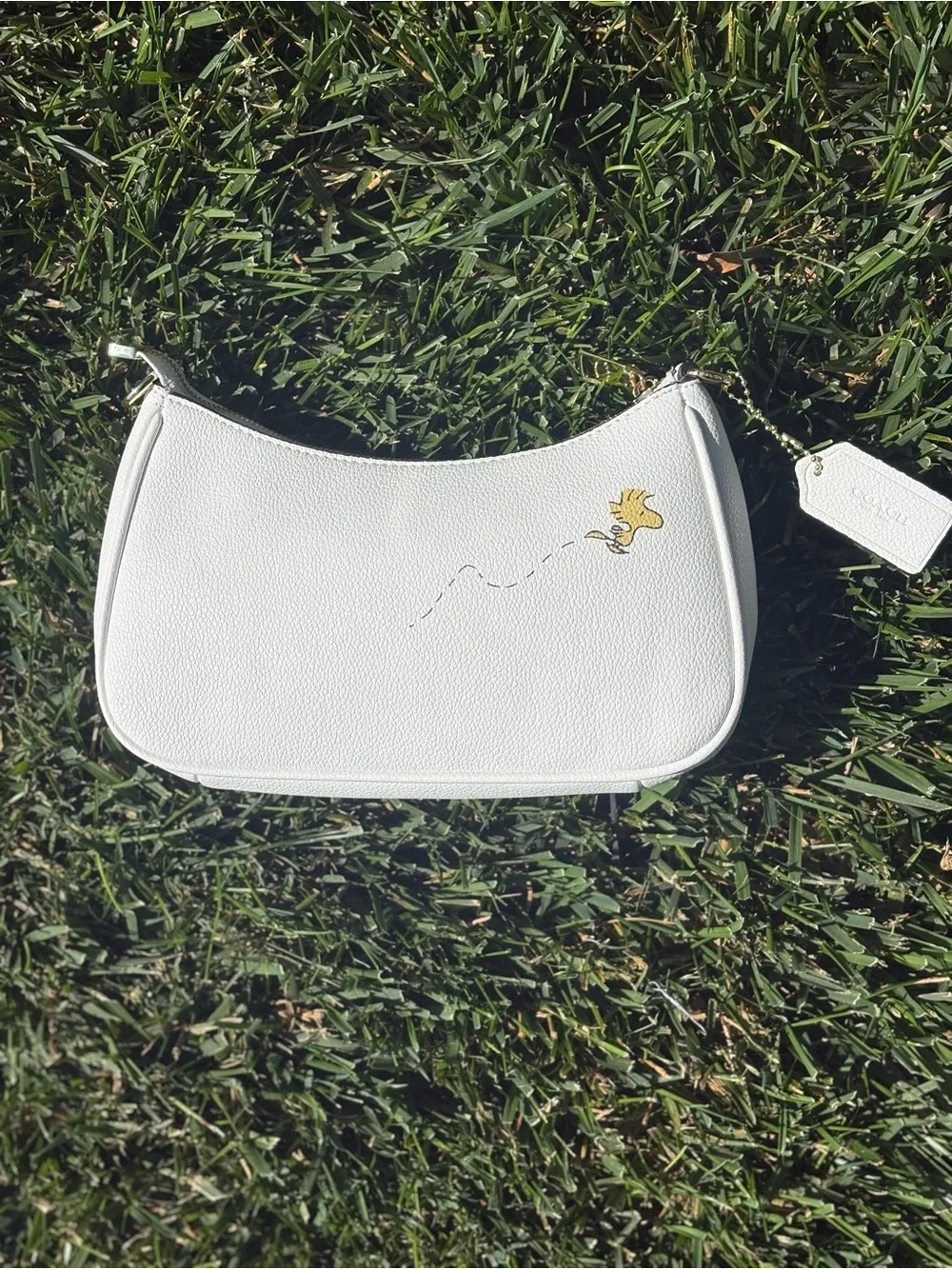 Coach Brown Leather Patch Interior Label